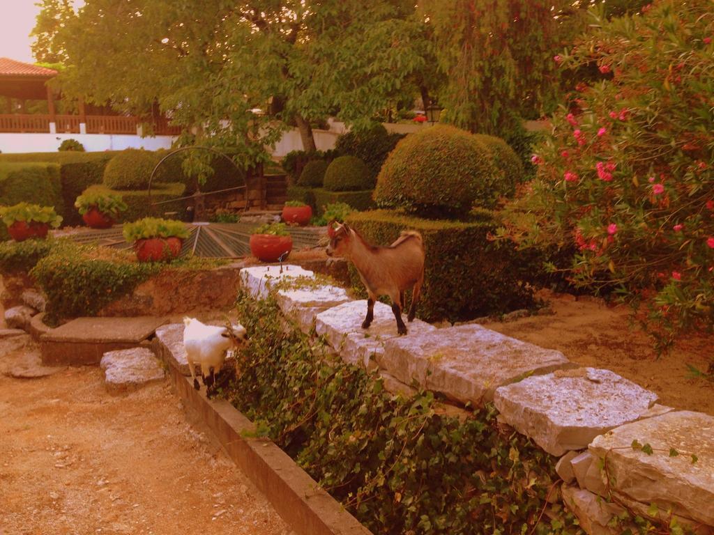 Otium Country House Alvorge Екстериор снимка